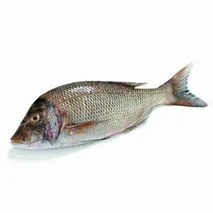 Alvins de Carpe