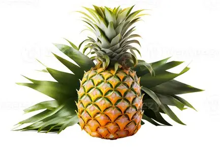 Ananas